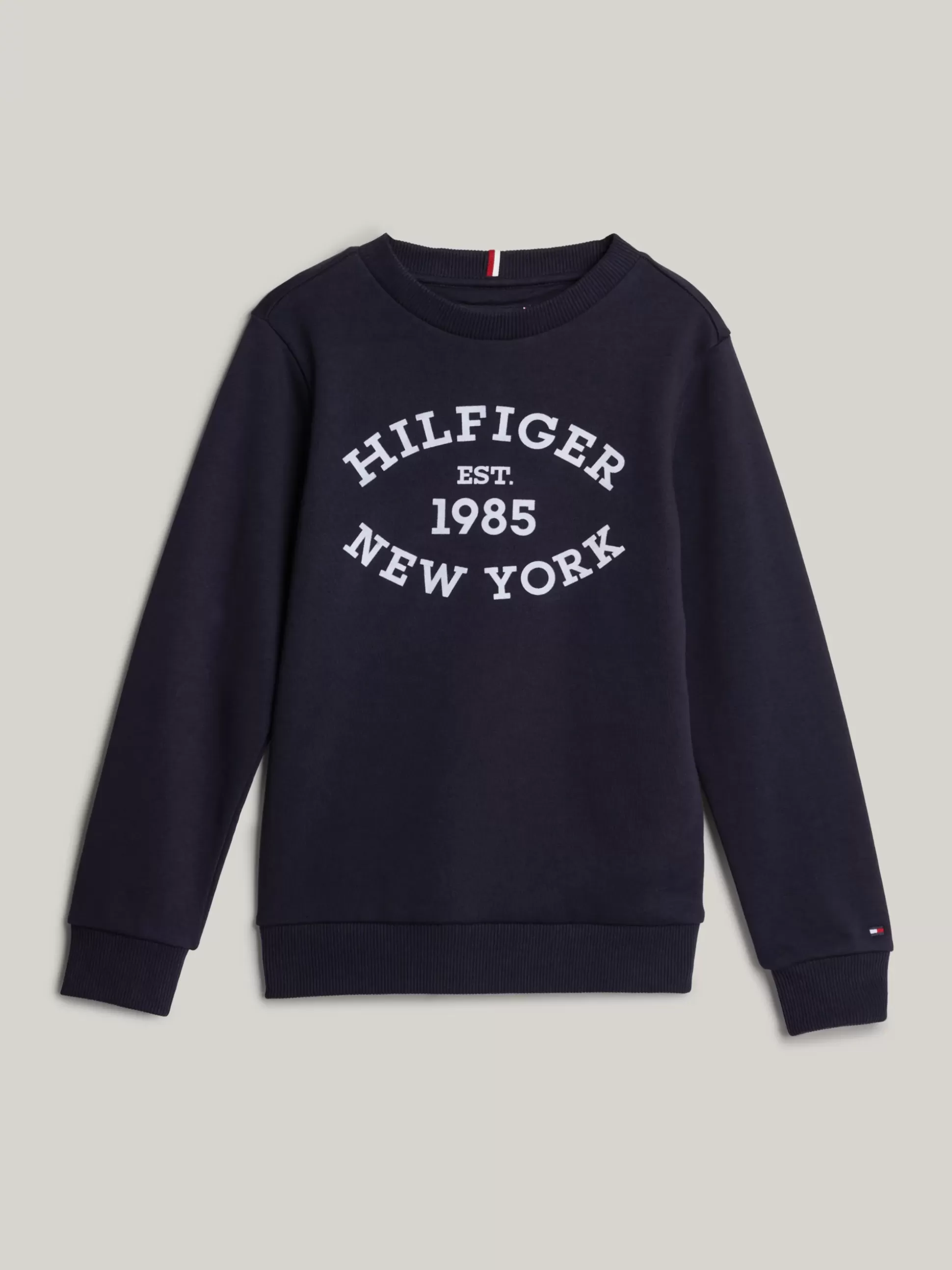 Dzieci Tommy Hilfiger Bluzy Dresowe I Z Kapturem^Bluza Hilfiger Monotype Z Flokowanym Logo