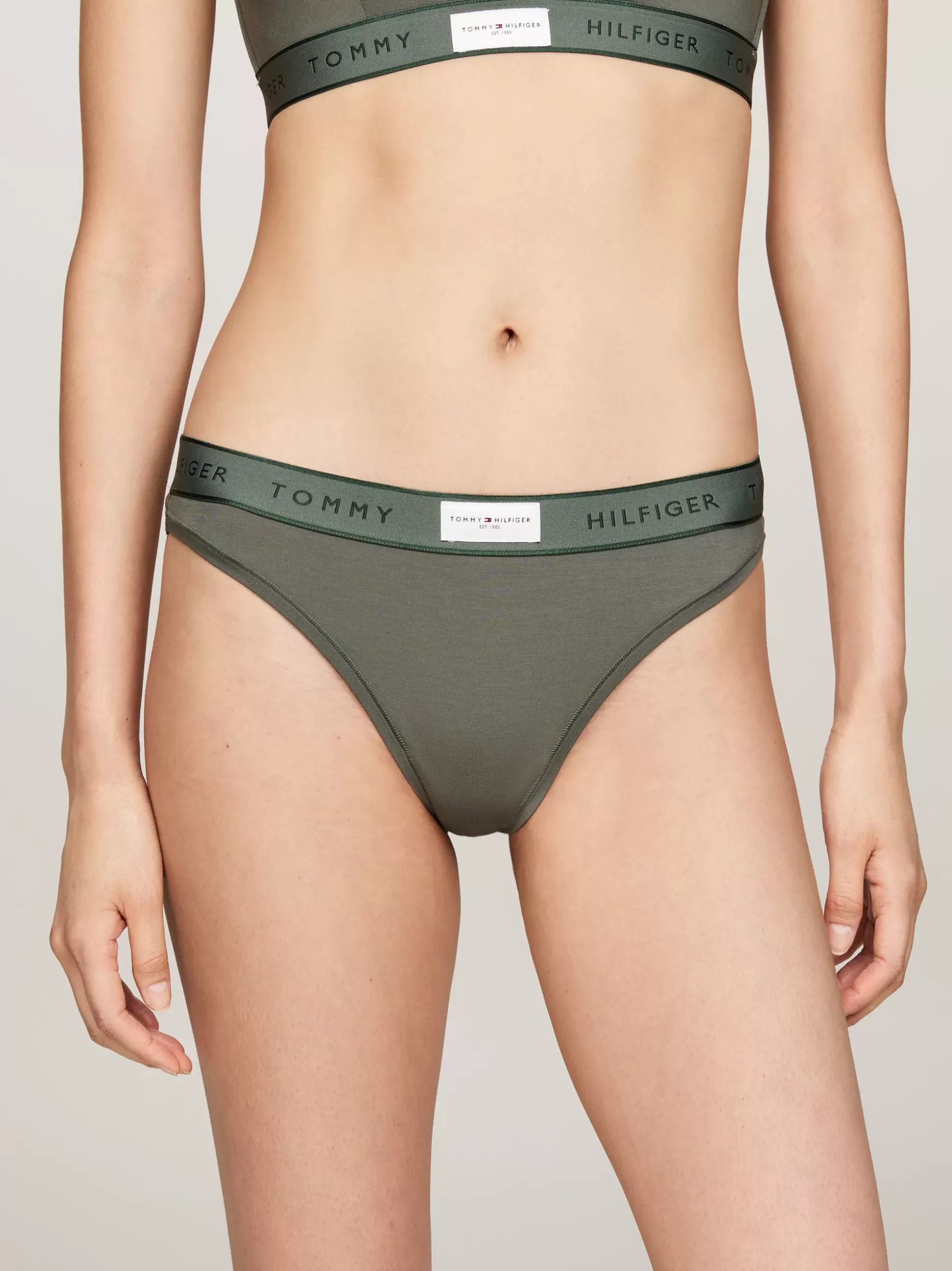 Tommy Hilfiger Figi | Bielizna^Thongi TH Established Z Logo W Kolorze Tła Na Pasku